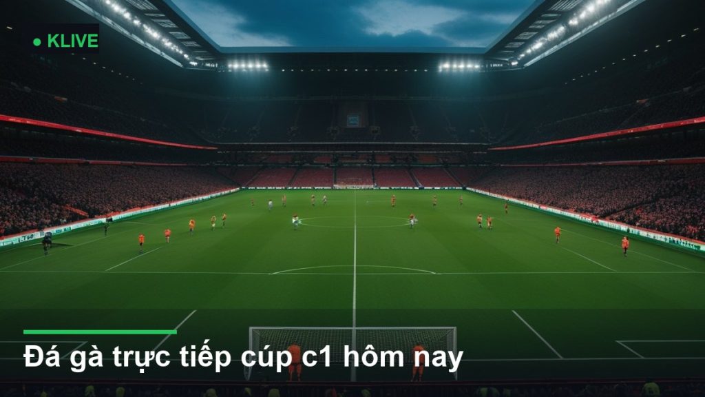 Đá gà trực tiếp cúp c1 hôm nay